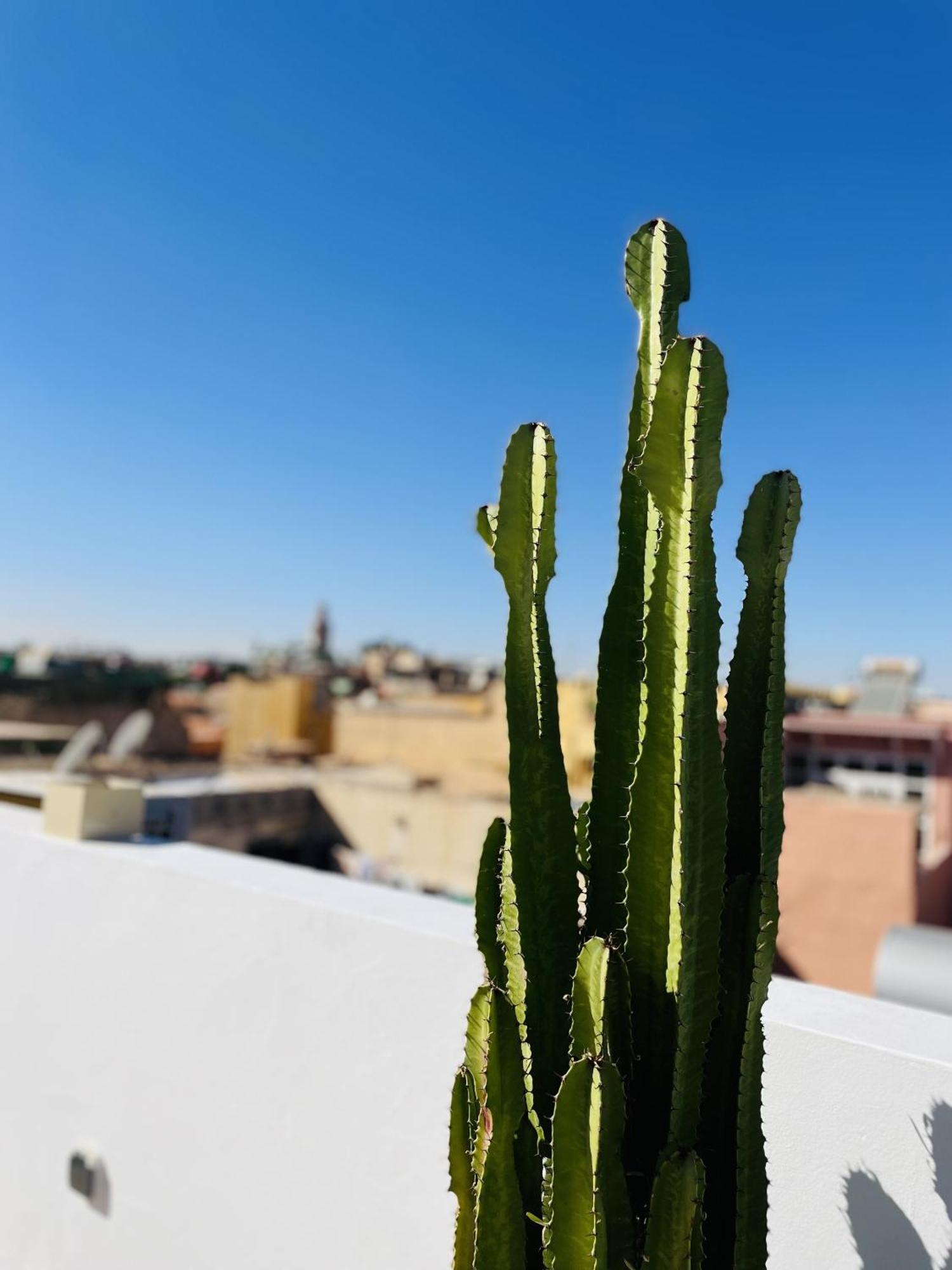 Riad Dar Bayane Marrakesh Luaran gambar